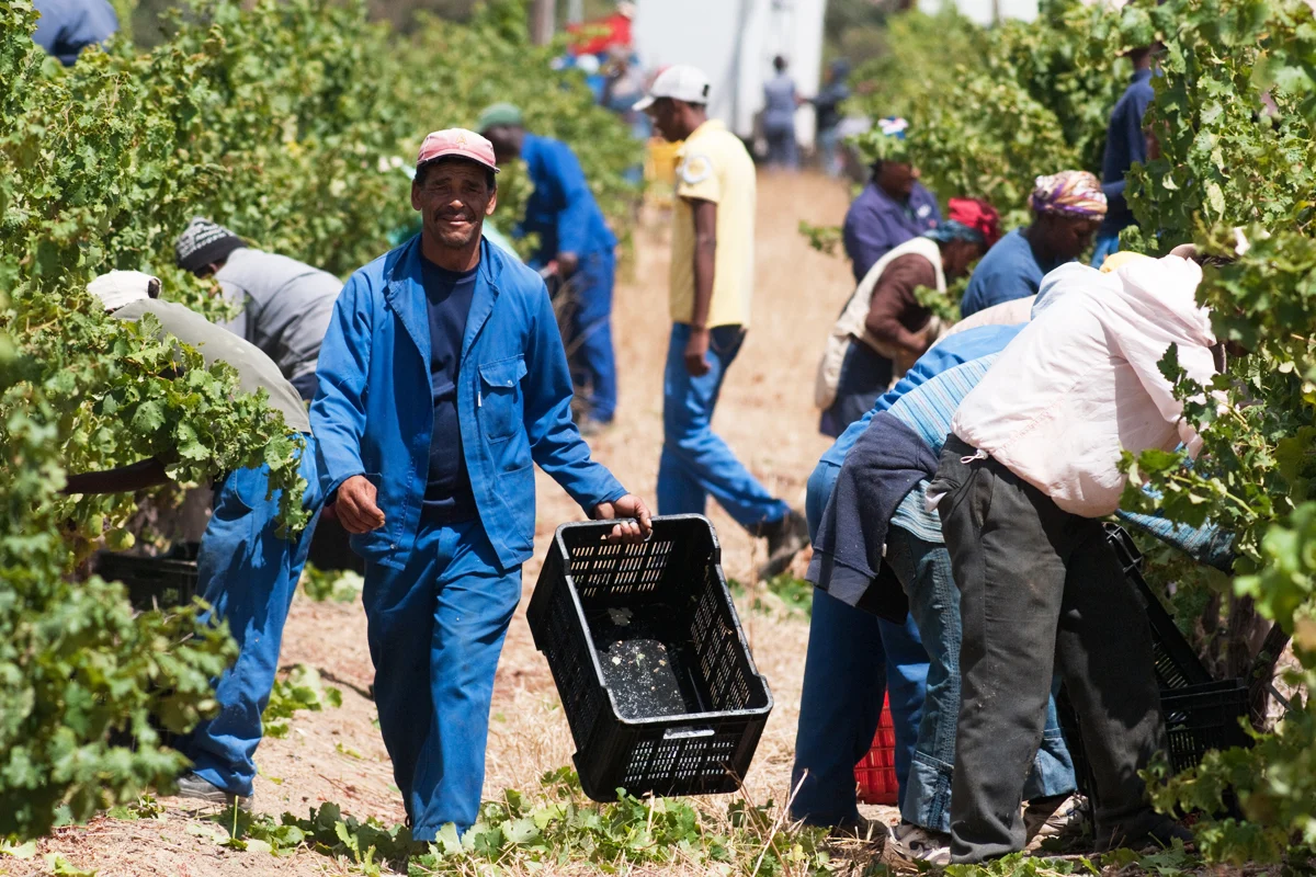 farmers-south-africa